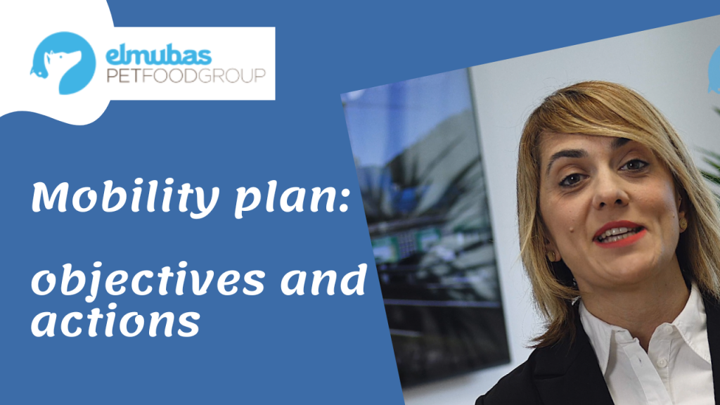 Mobility plan: objectives and actions