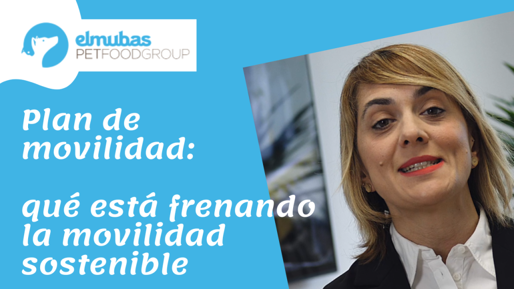Plan de movilidad qué está frenando la movilidad sostenible