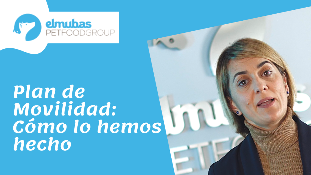 Plan de Movilidad Sostenible: cómo lo hemos hecho